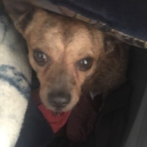 Meet your Posher, Ingrid